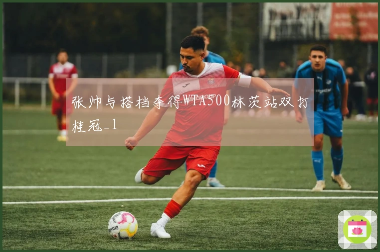 张帅与搭档夺得WTA500林茨站双打桂冠_1
